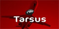 Первая половина 2016 года получилась позитивной для Tarsus Group