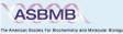 ASBMB  - American Society for Biochemistry and Molecular Biology - Американское общество биохимии и молекулярной биологии