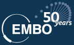 European Molecular Biology Organization (EMBO) – Европейская организация молекулярной биологии