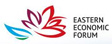 VIII  Восточный экономический форум (ВЭФ) 2023