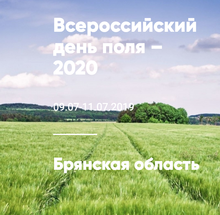 Всероссийский День поля - 2020: традиционная выставка дополнена новыми форматами