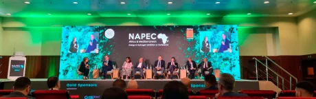 Выставка NAPEC