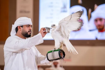 adihex