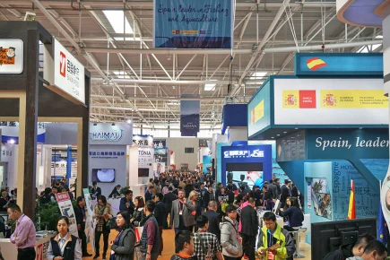 Выставка CFSE