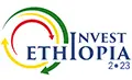 Invest Ethiopia 2023 – Ежегодный инвестиционный форум